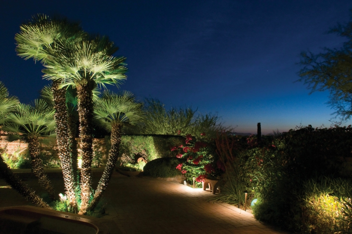 Iluminación LED con palmeras de jardín