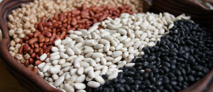 Beans with magnesium beans