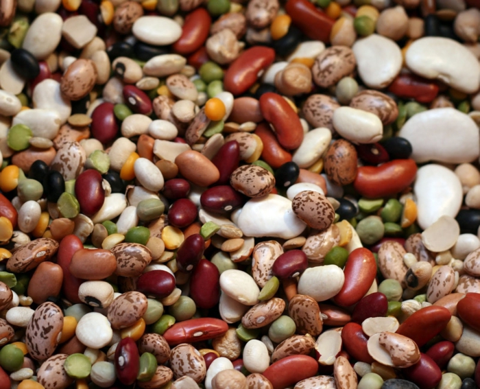 Foods with magnesium beans colorful