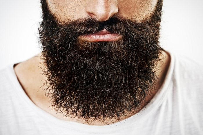 Hombres con barba solo barba