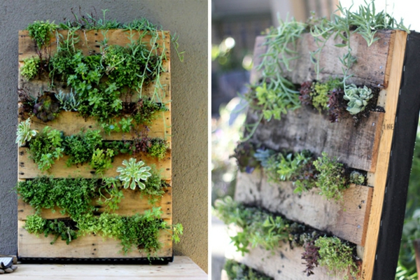 Making furniture from Euro pallets making succulents