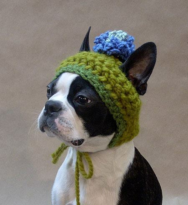 Hats Dogs dog clothes knitted