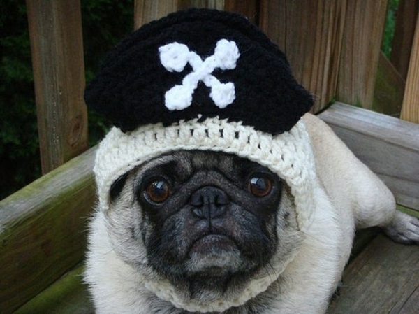 Caps black white Dogs pet clothing pirates