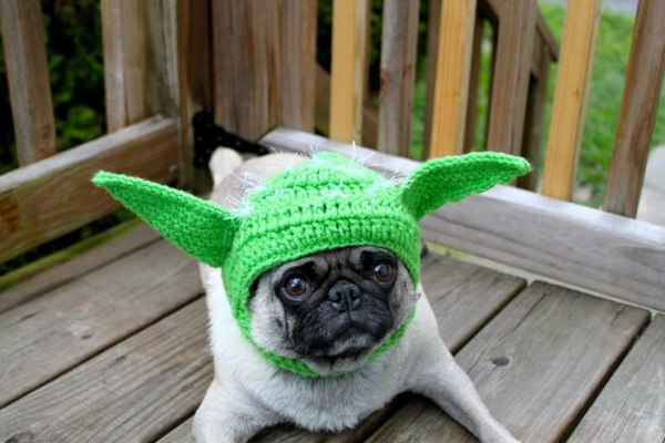 Hats for dogs pet clothing yoda