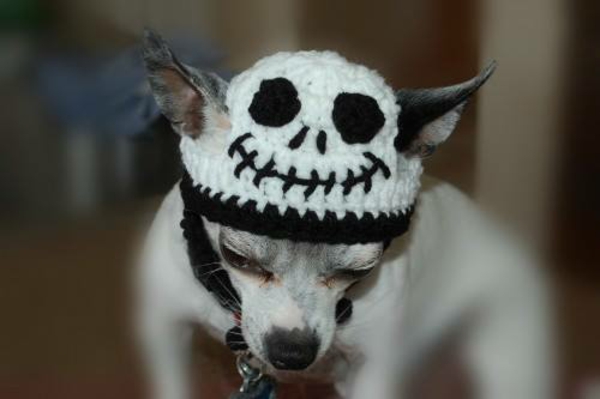 Chapeaux halloween costume chiens vêtements pour animaux de compagnie effrayant