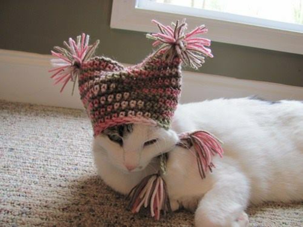 Chapeaux chiens vêtements pour animaux de compagnie chat