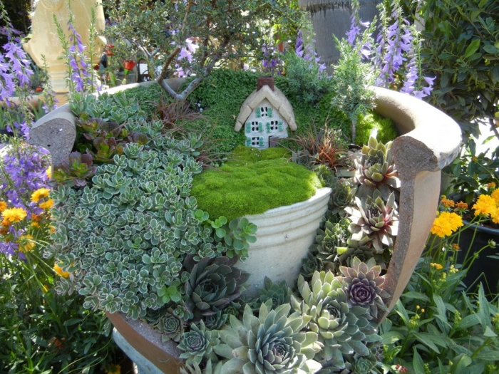 déco idées mini jardin pot de fleur cactus petite maison