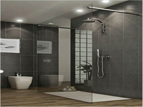 Diseño de pared gris de cubículos de ducha de vidrio
