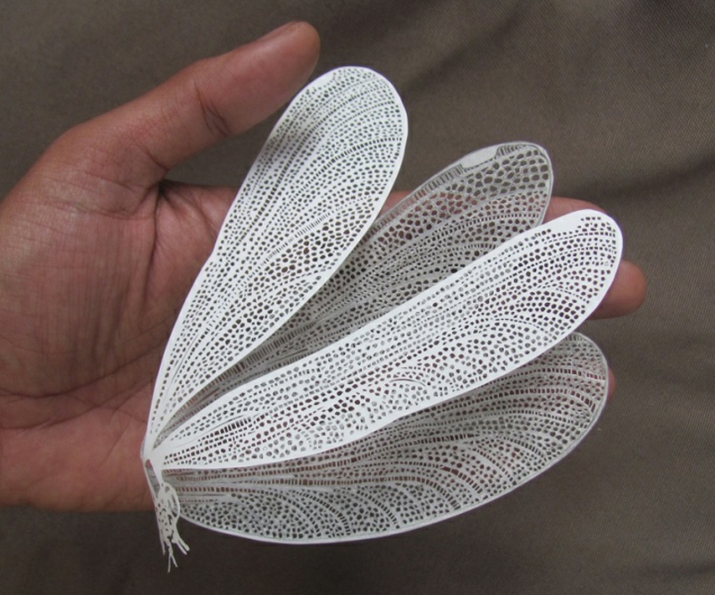 Parth Kothekar kunstwerken vlinderpapier