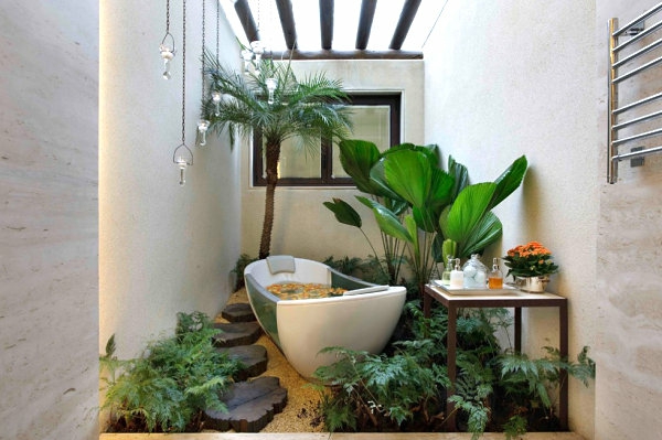 浴室的木盆里的植物离开屋顶的窗户
