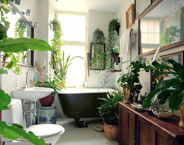 النباتات في الحمام بالوعة بالوعة مرآة