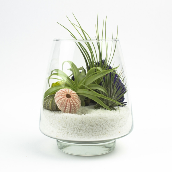 Sturdy glass bowl houseplants decoration sand