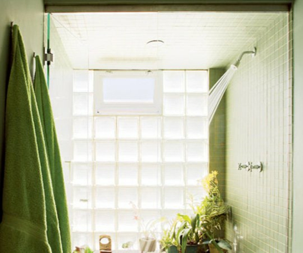 隐私屏幕浴室窗口新鲜绿色的解决方案