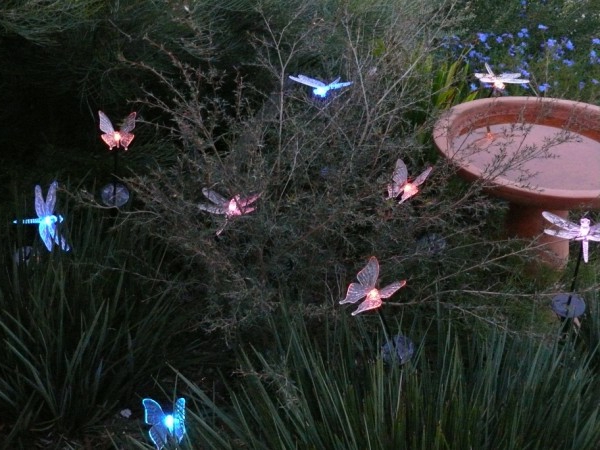 Lumières solaires dans le jardin des papillons respectueux de l'environnement