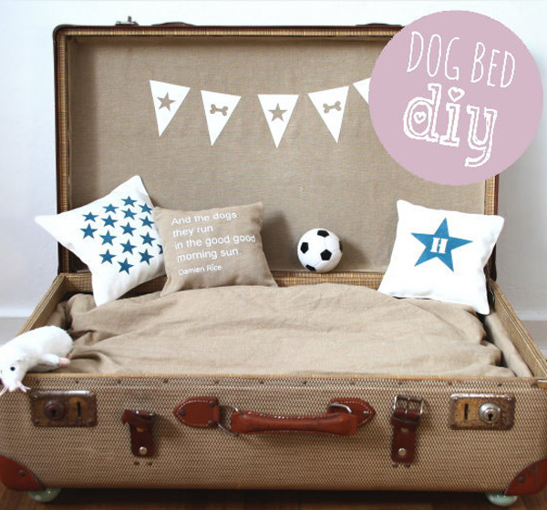 Møbler fra gamle kofferter for å lage deg beige fargehunder seng