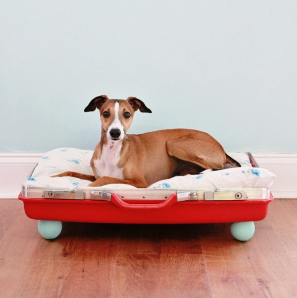 Trendy møbler fra gamle kofferter for å lage din egen hundeseng rød