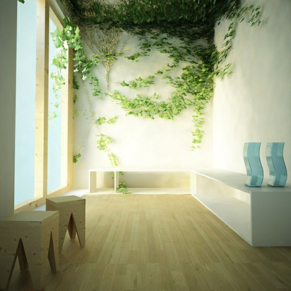 Decoración de paredes plantas trepadoras