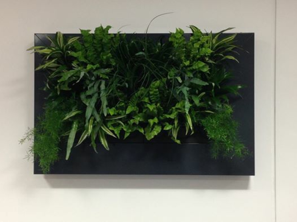 Wanddecoratie met planten fotolijst livebeeld