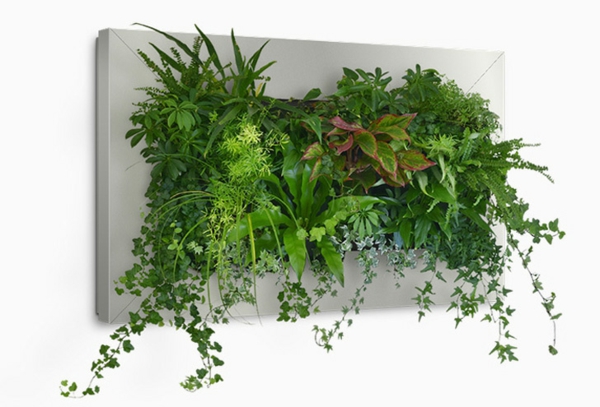 decoración de la pared de imagen en vivo con aire fresco de plantas