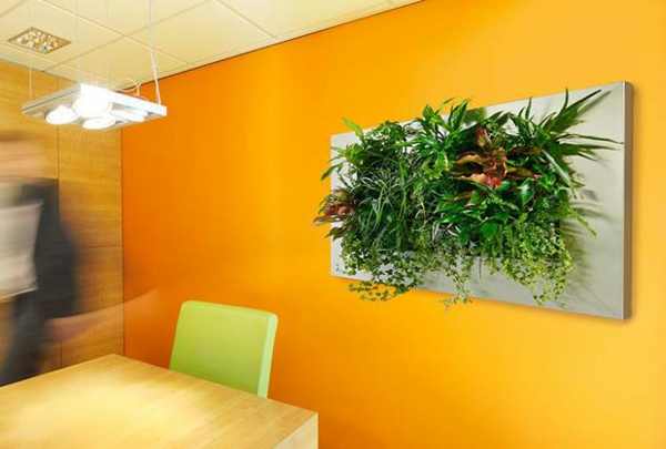 decoración de pared de color naranja con plantas