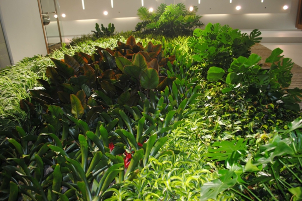 Стена декорация зелено мислите растения сочни идеи