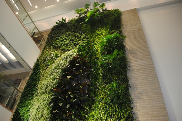 Decoración de pared con jardín de diseño de pared de plantas