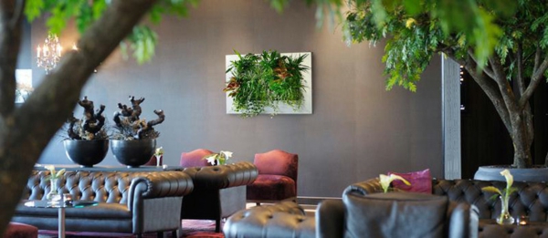 imagen en vivo hotel restaurantes cafés decoración instalación de pared marcos