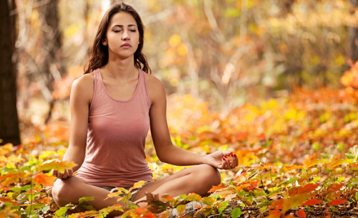 Yin Yang qui signifie la méditation de yoga