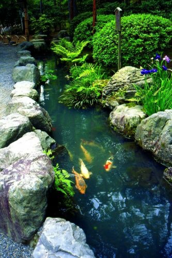 Jardín Zen estanque de plantas japonesas