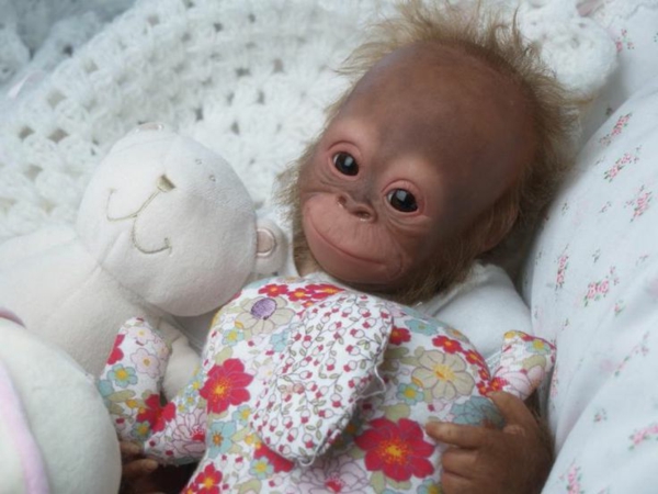 mono como mascota bebé orangután