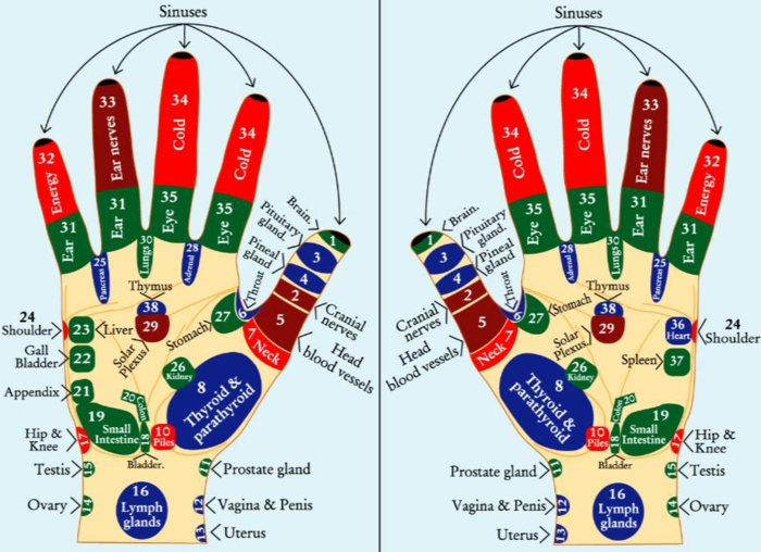 acupressure ζουν υγιείς υγιεινή ζωή ιατρική πρακτική μασάζ ζώνες acupressure χέρια