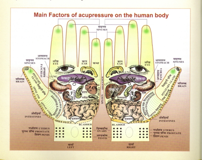gyvas sveikas gyvenimas medicinos praktika masažo akupresūra zona rankų zonos