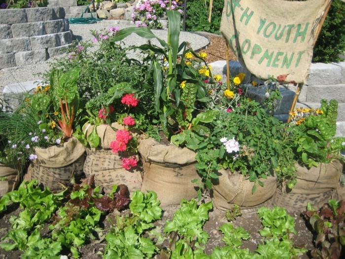 παλιά σάκους αναψυχής ιδέες κήπου για λίγα χρήματα