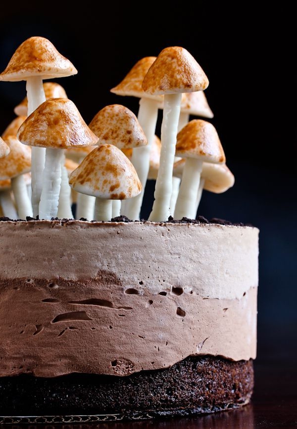 champignons de tartes fantaisie mangent des friandises