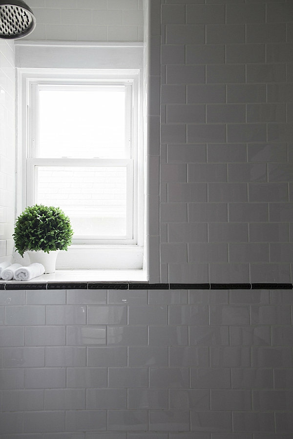 badeværelse indstiller indendørs planter ved vinduet