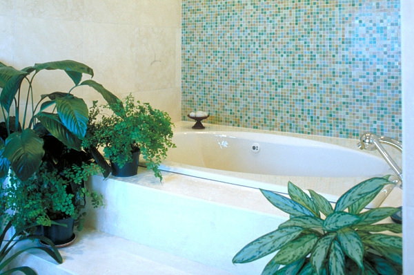 badeværelse indstillet indendørs planter fritstående badekar