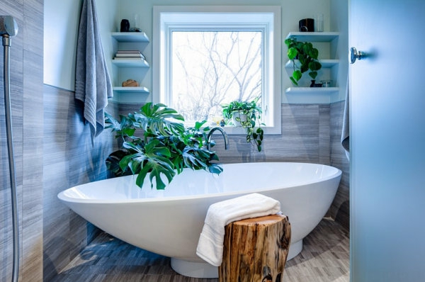 bathroom set up green roomplant bathtub