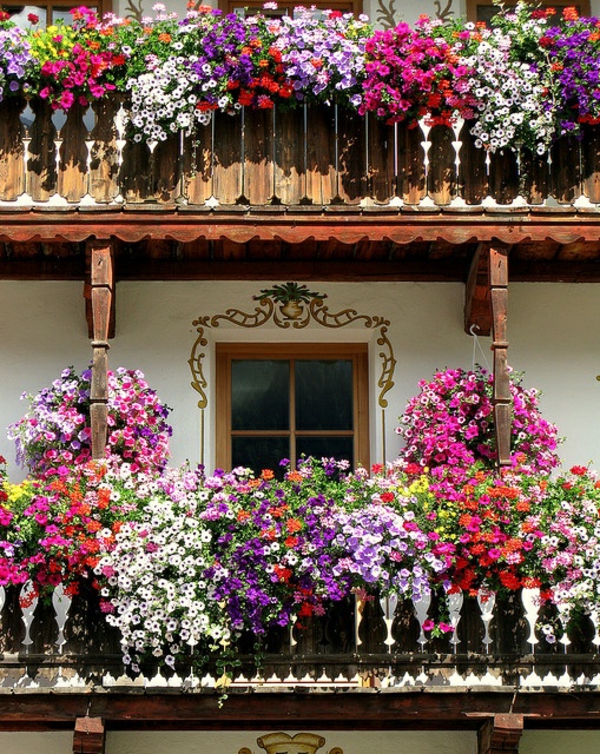 传统的阳台种植花箱五颜六色