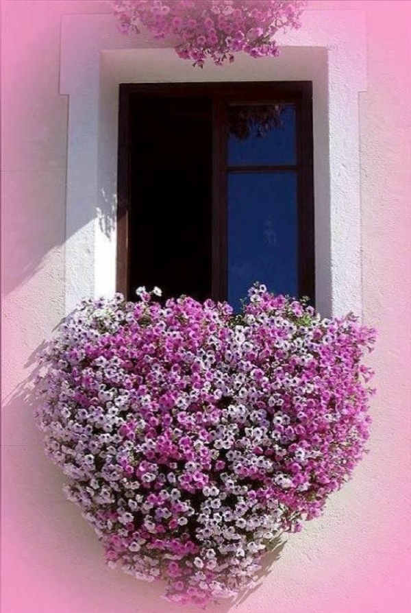 μπαλκόνι τέχνη κήπου λουλούδι κουτί σε σχήμα καρδιάς λουλ
