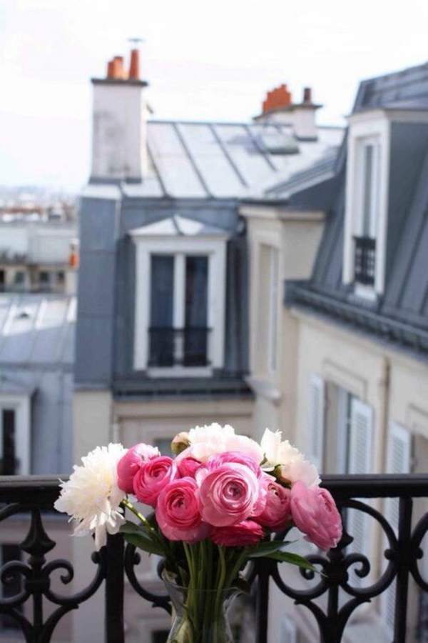 阳台种植花箱玫瑰