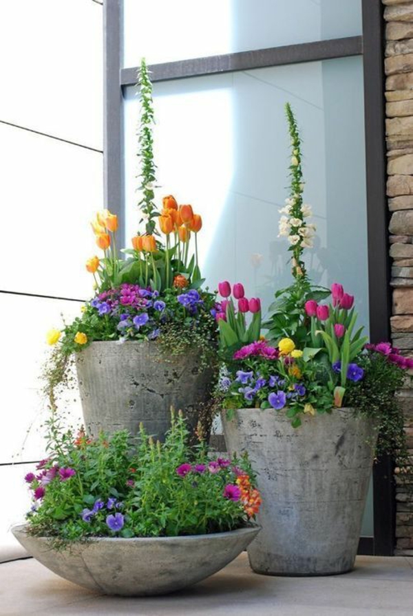 балкон цветни кутии растения цветове