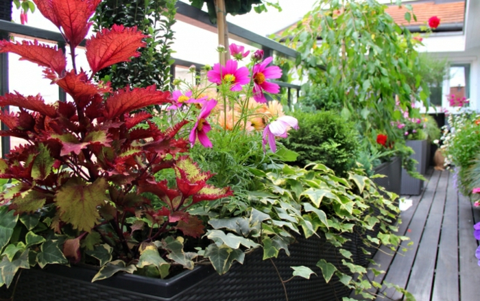 balkón tvar balkón rostliny zahradní nápady