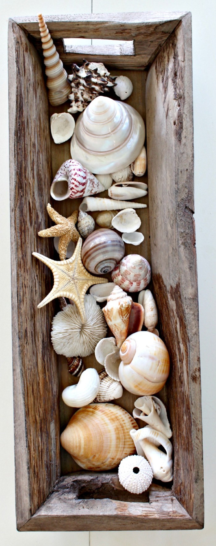 tinker with shells summer holiday tinker with natural materials diy ideas deco ideas