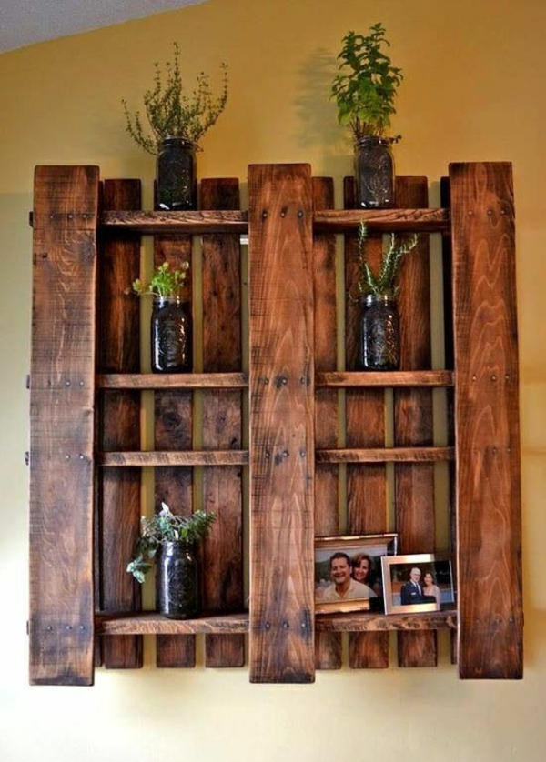 用托盘架壁架自己建立室内植物图片