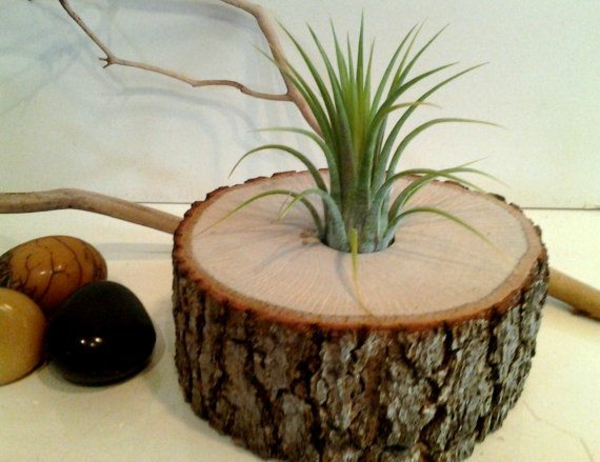 decoración del tronco del árbol diy flowerpot self suculentas
