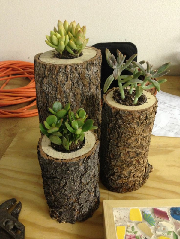 tree trunk deco diy flower pot indoor plants