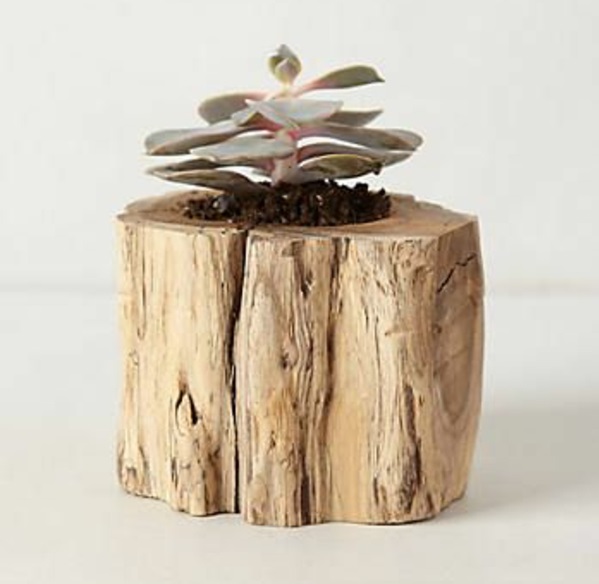 tree trunk decoration diy projects planter wood succulents