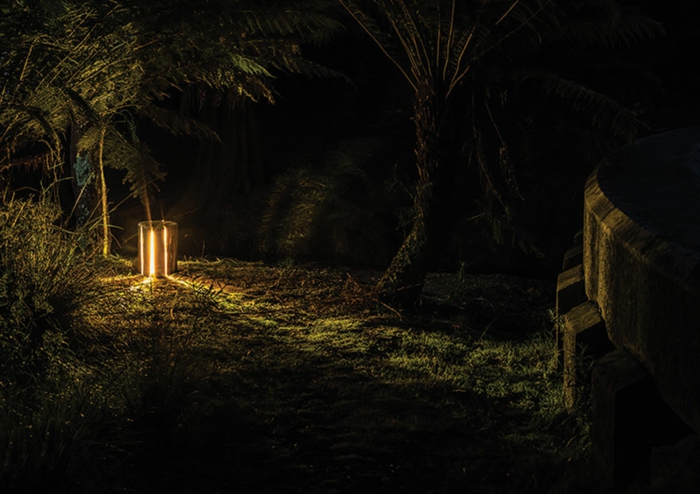 Boomstammeubilair van Duncan Meerding-licht in het bos