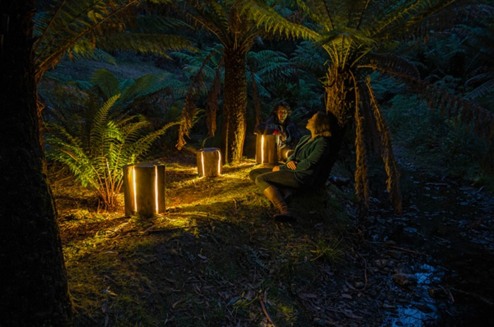 træstamme møbler af Duncan Meerding naturlige lys