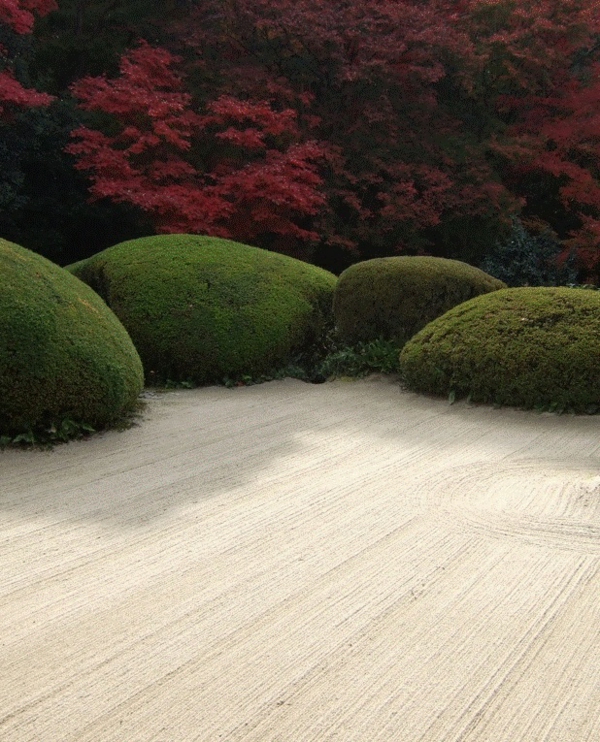 exemples de jardin zen design moderne jardin